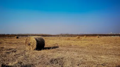 Kakadu Kasino Apl Mudah Alih
